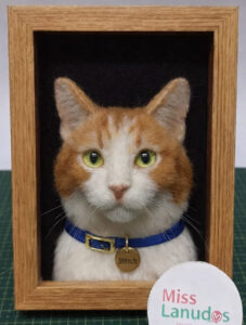 cuadro retrato de gatos en felting misslanudos peru