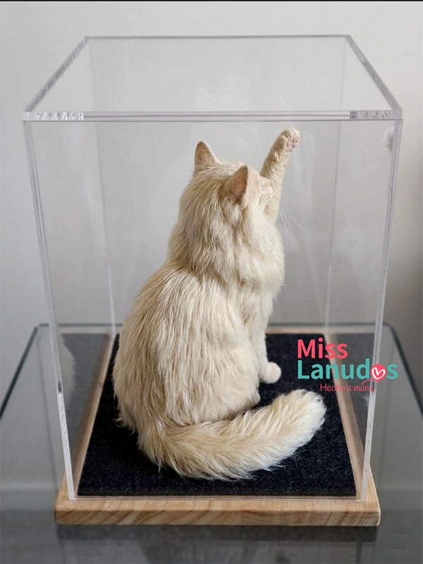 escultura de gato en felting 30cm en exhibidor misslanudos peru 2 web